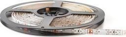 Taśma LED Eco Light Eco Light* Taśma LED 300 diod 2835 IP20 4000K 5m 24W 1500lm 12V EC79350