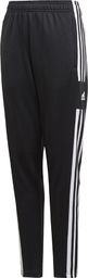 Adidas Spodnie adidas SQUADRA 21 Training Pant Junior GK9553 GK9553 czarny 164 cm