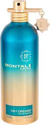 Montale Montale DAY DREAMS edp 100 ml folia