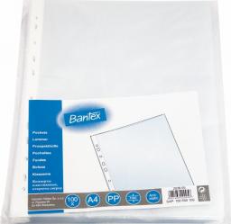 Bantex Koszulki groszkowe A4 48mic. 100szt. (100550109)