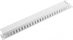 Lanberg Organizer kabli 1U z zaślepką do szaf 19'' Szary (AK-1201-S)
