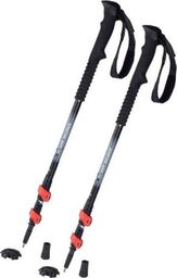 Spartan Kije trekkingowe Pro Spartan