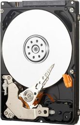 Dysk 500 GB 3.5'' HDD SATA 5400-7200 RPM
