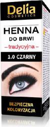 Delia Henna do brwi 1.0 Czarna