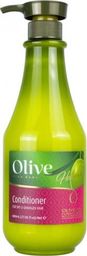 Frulatte Olive Conditioner - Odżywka z ekologiczną oliwą z oliwek 800 ml