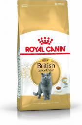 Royal Canin British Shorthair karma sucha dla kotów dorosłych rasy brytyjski krótkowłosy 10kg