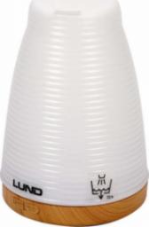 Dyfuzor zapachowy Lund 66900 100ml USB