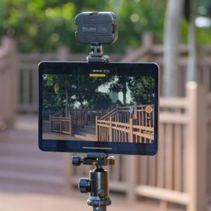 Uchwyt Ulanzi Uchwyt Na Tablet Telefon Na Statyw 1/4"" / U-pad Iii 8