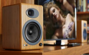 Kolumna AudioEngine A5+ bambus Goniki Aktywne 2