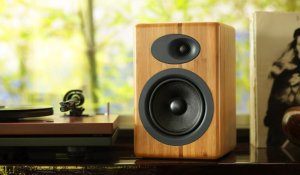 Kolumna AudioEngine A5+ bambus Goniki Aktywne 6