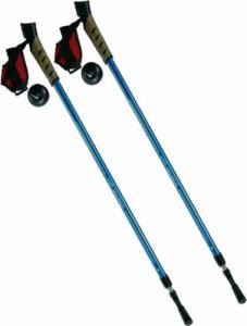 Spartan Kije nordic walking 2-sekwencje niebieskie 2
