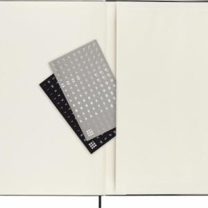 Moleskine Notes MOLESKINE PROFESSIONAL A4 (21x29,7 cm), twarda oprawa, 192 strony, czarny 4