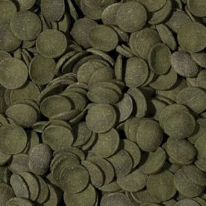 Tropical Green Algae Wafers tonące wafelki dla ryb 1000ml 2