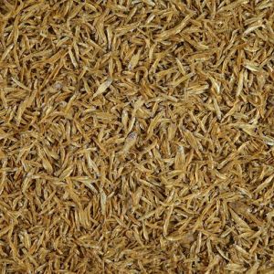 Tetra Anchovies 1L 12 CE pokarm dla żółwi wodnych z sardele 2