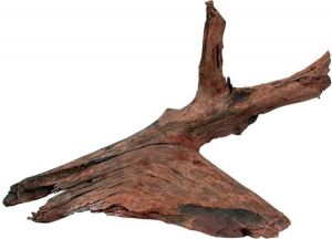 Zolux Korzeń Mangrowca 25-40 cm 2