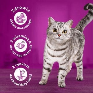 Whiskas Adult Kurczak i warzywa 14kg 6