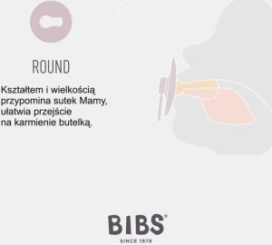 Bibs BIBS COLOUR FOSSIL GREY M Smoczek Uspokajający kauczuk Hevea 3