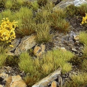 Gamers Grass : Set - Highland Tuft (Wild) 2
