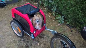 Trixie Przyczepa do roweru  58 × 52 × 79 cm czerwono/czarna do 30kg 4