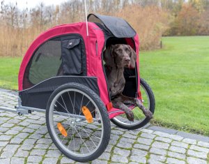 Trixie Przyczepa do roweru  58 × 52 × 79 cm czerwono/czarna do 30kg 7
