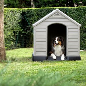 Curver Buda dla psa Dog House szary, 95 x 99 x 99 cm 6