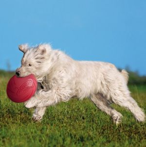 Trixie DYSK DOGGY 18 CM 2