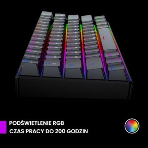 Klawiatura PREYON Brown All Claw Gateron Brown Hot Swap (PBAC61B) 5