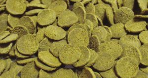 Sera WELS-CHIPS PUSZKA 100 ml 2