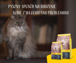 Josera Catelux Adult z kaczką i ziemniakami 10kg (50007753) 5