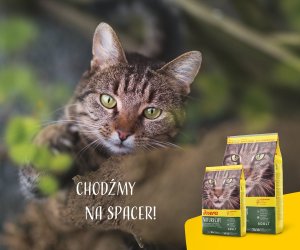 Josera Nature Cat 2kg (50007773) 6
