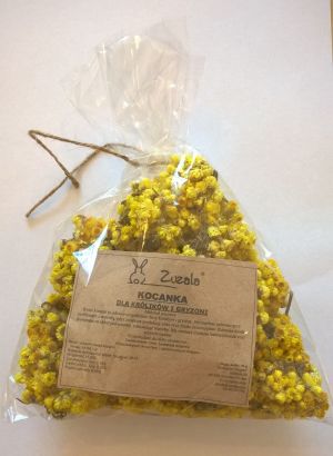 Zuzala KOCANKA 2