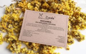 Zuzala KOCANKA 3