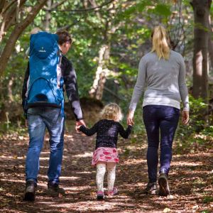 LittleLife Nosidełko turystyczne Freedom S4 5