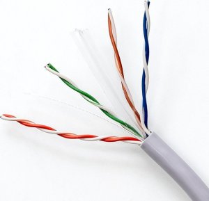 Qoltec Kabel sieciowy Qoltec skrętka UTP | CAT6 | 305m | PCV szary 3