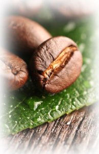 Kawa ziarnista illy Arabica Selection India 250 g 3
