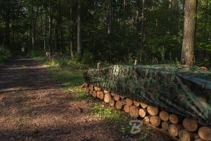 Plandeka Bradas Plandeka kamuflażowa moro CAMOforest 10 x 12m 90g. 5