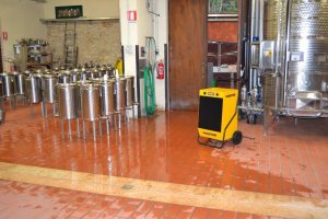 Master MASTER OSUSZACZ POWIETRZA DH62 52 L / 24h 23