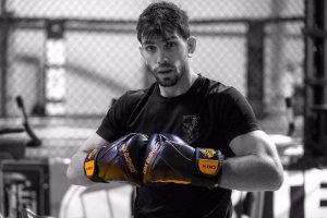 DBX BUSHIDO Rękawice bokserskie "Hammer - Gold" 12oz 2346 13