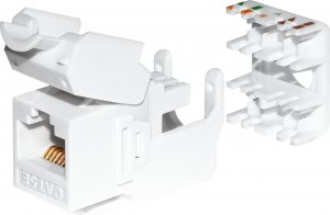 NetRack Moduł keystone Jack RJ45 kat. 6 UTP, beznarzędziowy, biały Netrack 3