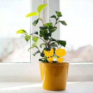 SH Design LEP NA MUSZKI, OWADY, MSZYCE PSZCZOŁA ZESTAW 12 SZTUK 3