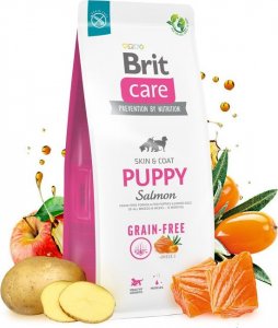 Brit Care Dog Grain-free Puppy Salmon - 12KG 3