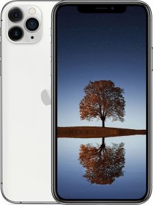 Smartfon Apple SMARTFON APPLE IPHONE 11 PRO MAX SILVER 64GB 12