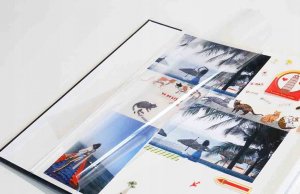 Kodak Kodak Album Na Zdjęcia Samoprzylepny 40 Stron Do Zdjęć A4 / A5 / A6 / Instax / Polaroid / Zink / Cat 9891-312 / Czarny 11