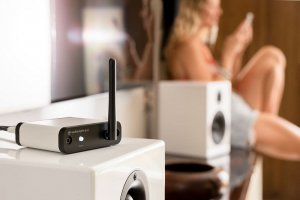 Streamer AudioEngine Audioengine B-FI Muzyczny streamer multiroom z Wi-Fi 2