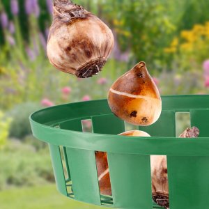 Kadax KADAX Koszyk Osłonka Do Sadzenia Cebulek fi 18cm 8