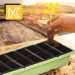Kadax Miniszklarnia 20 Komór Kiełkownik Rozsada Zielnik 2