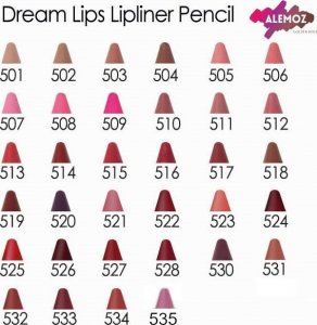 Golden Rose Golden Rose DREAM LIPS Konturówka do ust 505 3