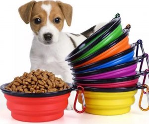 Forever Puppy&Kitter Miska dla psa silikonowa składana turystyczna 13cm 450ml 9