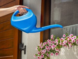 Kadax Konewka Ogrodowa Do Podlewania Plastikowa 2 L 8
