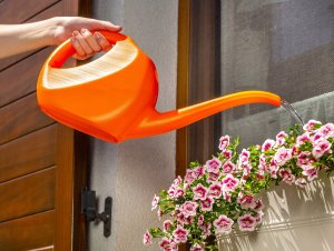 Kadax Konewka Ogrodowa Do Podlewania Plastikowa 2 L 7